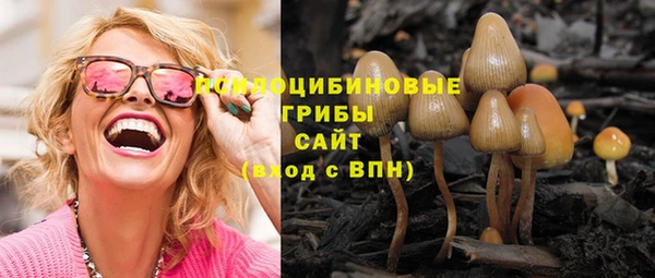 MDMA Гусев